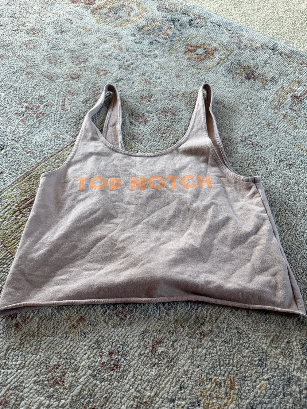 aerie Mauve Crop Tank with Orange "TOP NOTCH" Logo